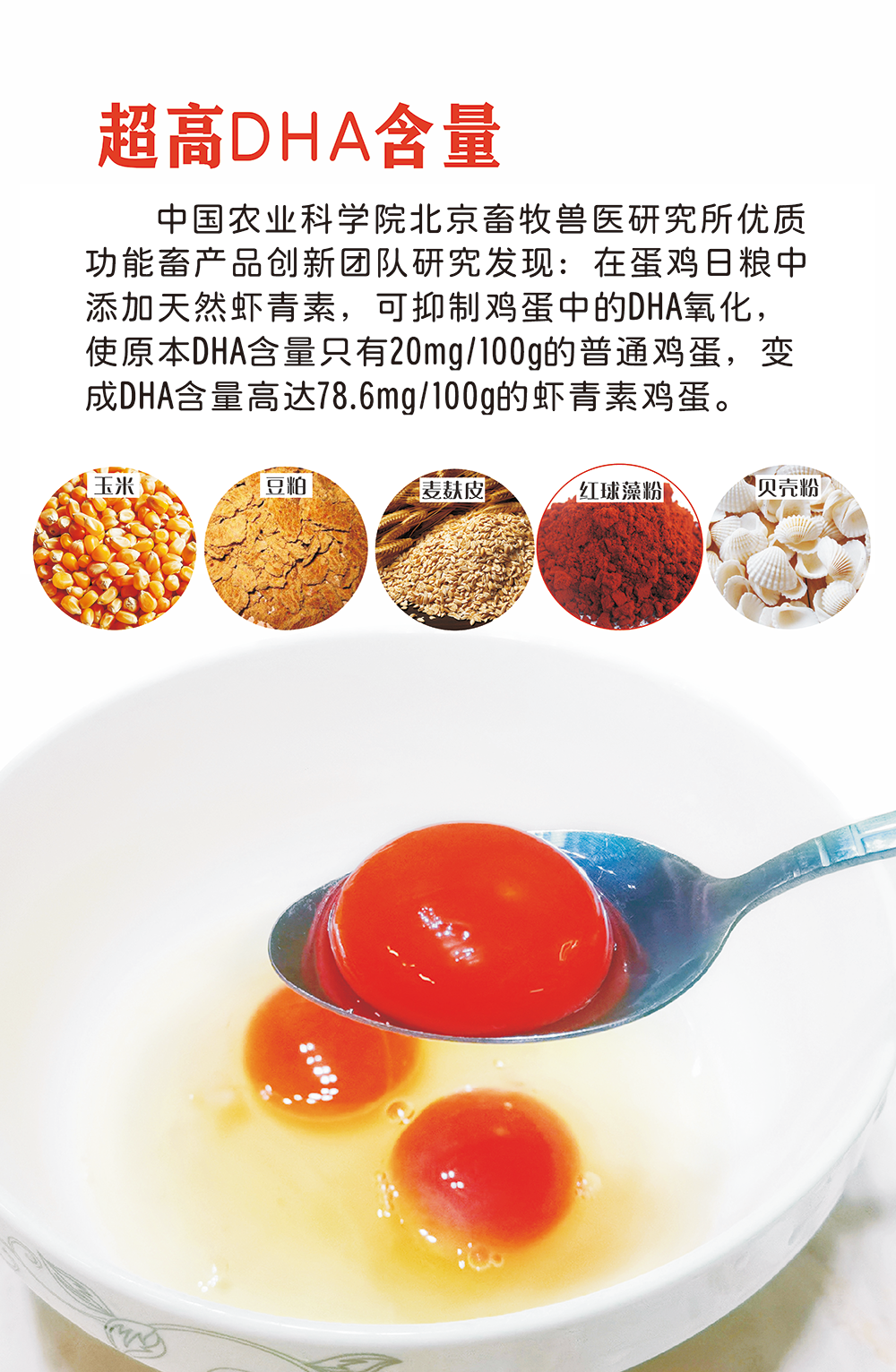 b7814480db8fa658766e9f5bb49747eb.png